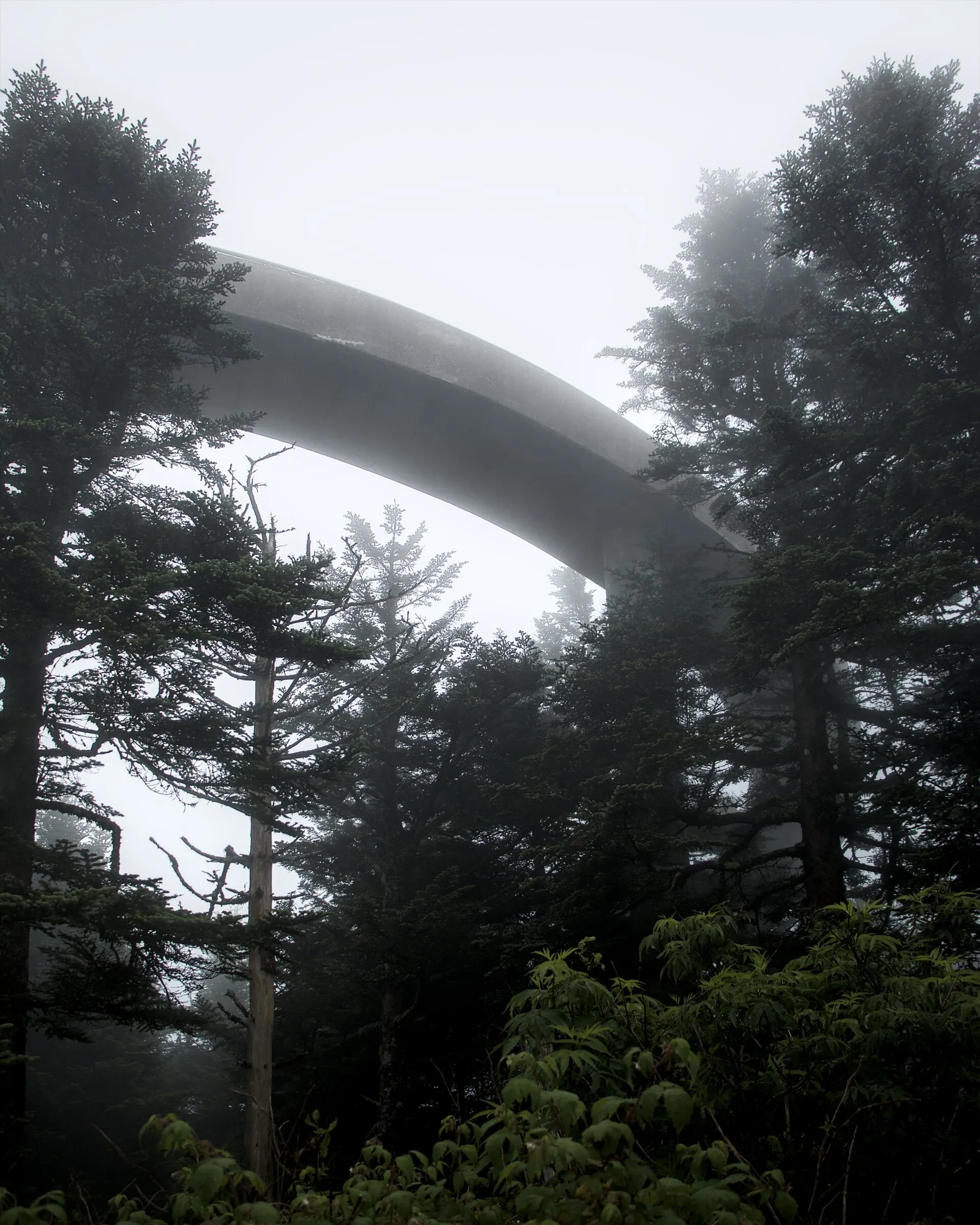 a curved concrete ramp arcs over dark spruce trees in thick fog